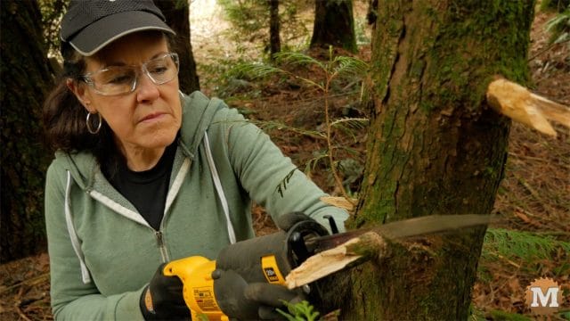 Cutting cedar branches with a recip saw