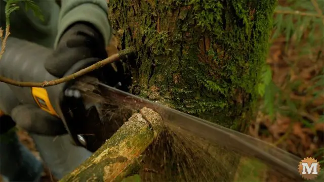 Pruning reciprocating saw trim cedar