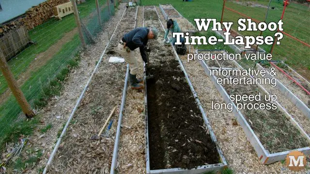 time lapse video production reasons why content creation gardening