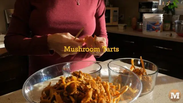 Cleaning Chanterelle Mushrooms with a small brush. Making pastry tarts.