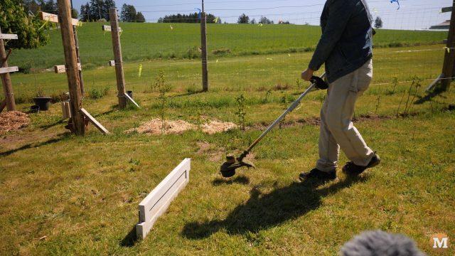 simple durability test of concrete with a grass or weed line trimmer