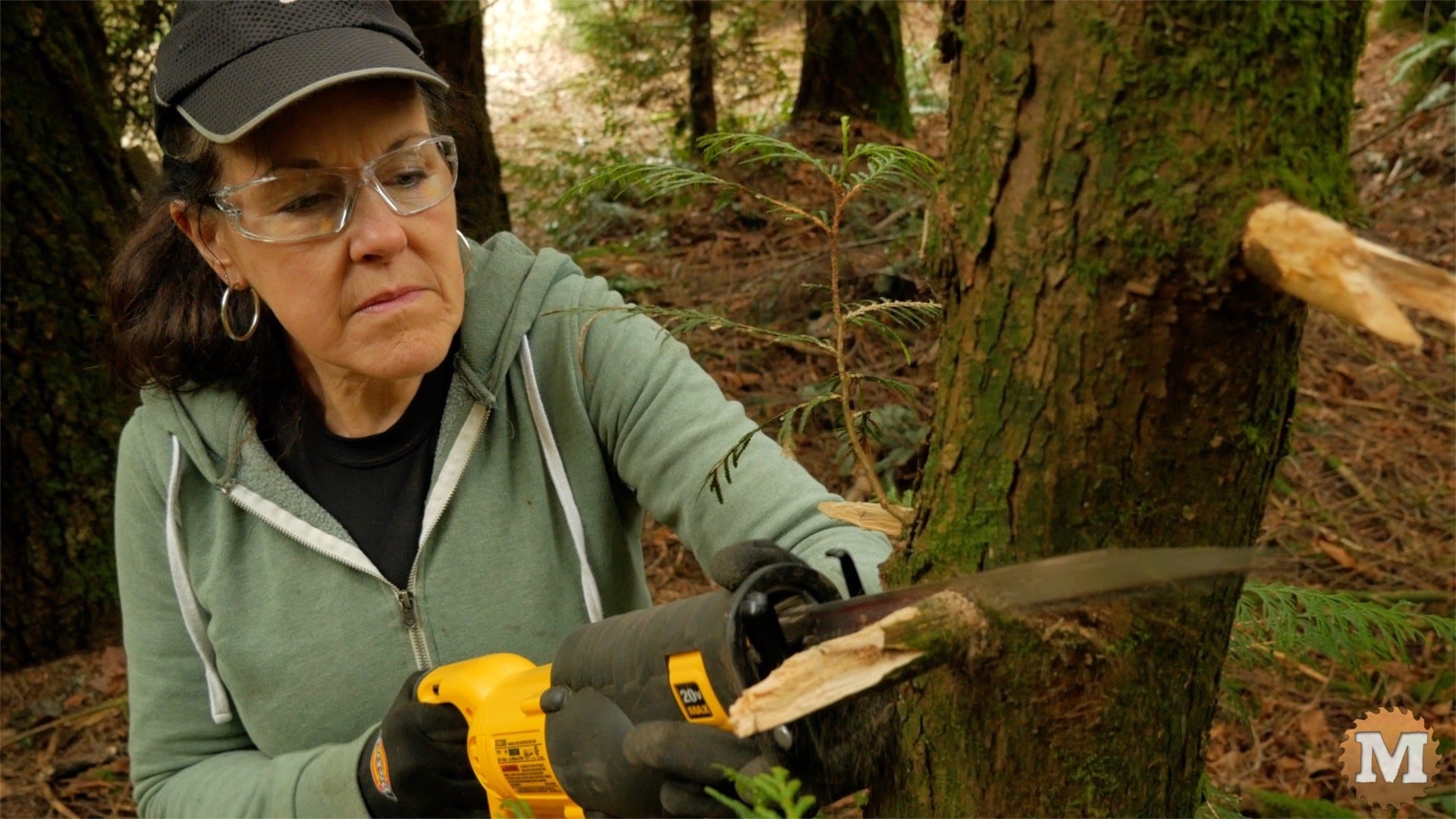 Pruning reciprocating saw woman trimming