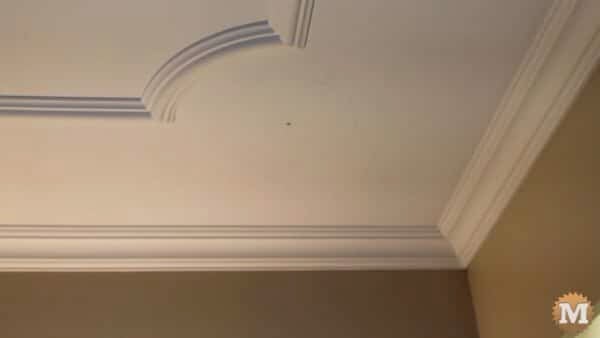 Decorative Ceiling Trim Decorative Ceiling Trim