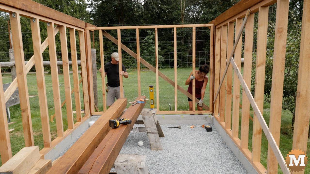 Installing a cedar stud wall in a greenhouse