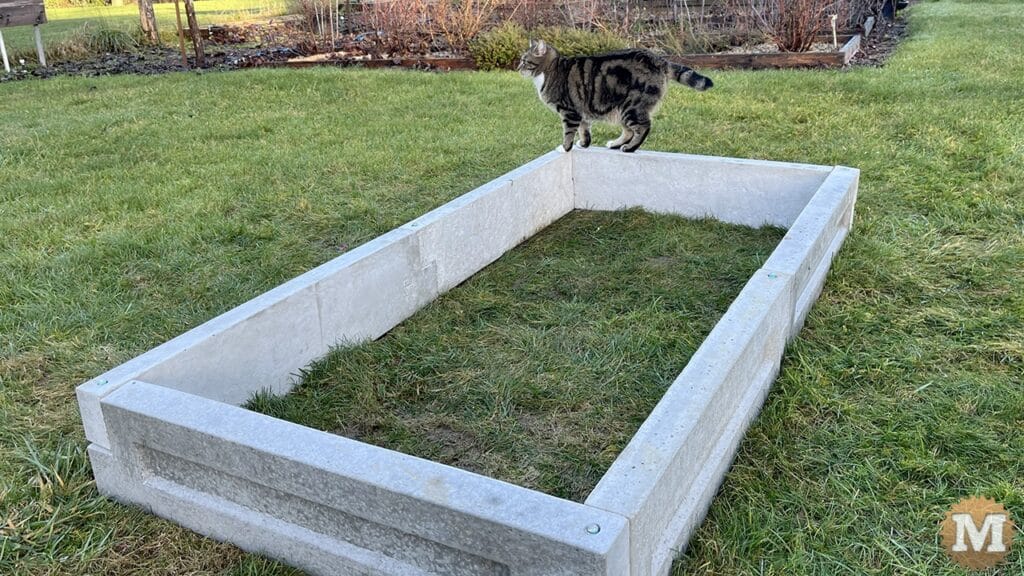 Our cat Macy checking out the new garden bed