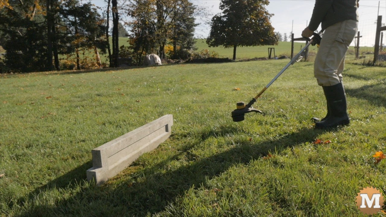 line trimmer on a lawn