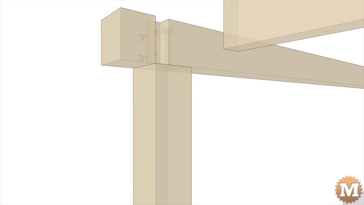 3D Xray animation showing dado details