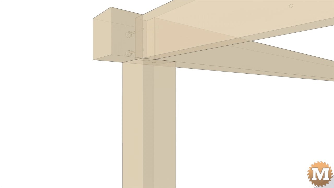 3D Xray animation showing dado details