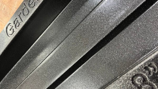 pitted mold 1
