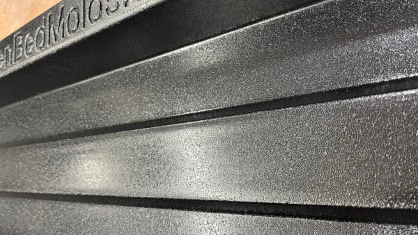 pitted mold 2